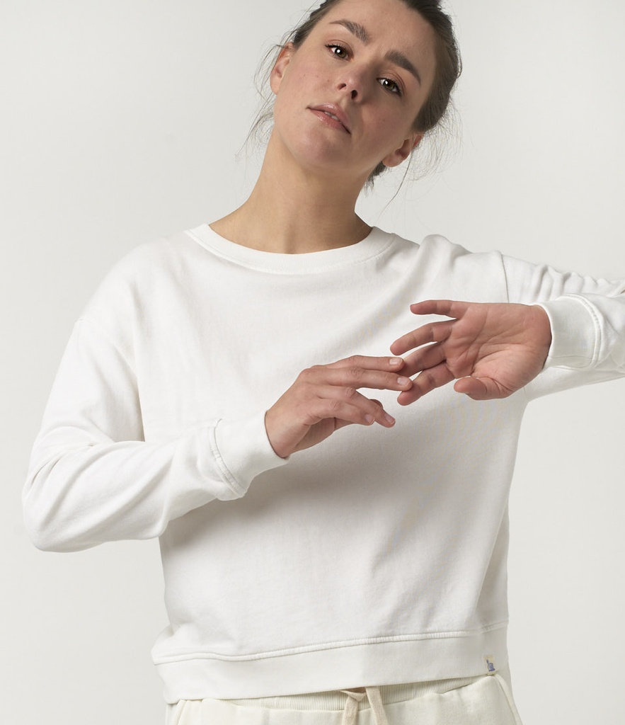 Relax Fit Crew Neck Long Sleeve Crop Sweatshirt